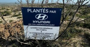 Hyundai Tunisie lance la 2ᵉ édition de son initiative écologique : Un arbre planté pour chaque véhicule vendu en 2024