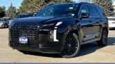 Hyundai Palisade Calligraphy 2.2 L TCi 4x4 BVA