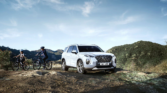 Hyundai Palisade Calligraphy 2.2 L TCi 4x4 BVA